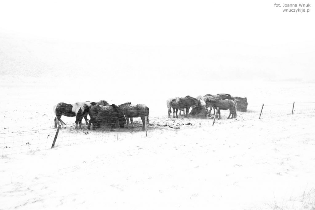 Islandia zimą