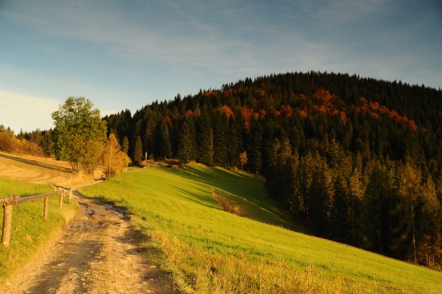 Gorce jesienią